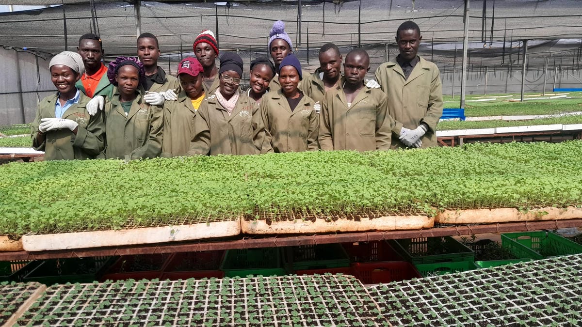 Propagation nursery